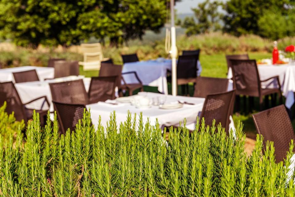 Agriturismo & Cantina Tenuta Casteani Ribolla Kültér fotó