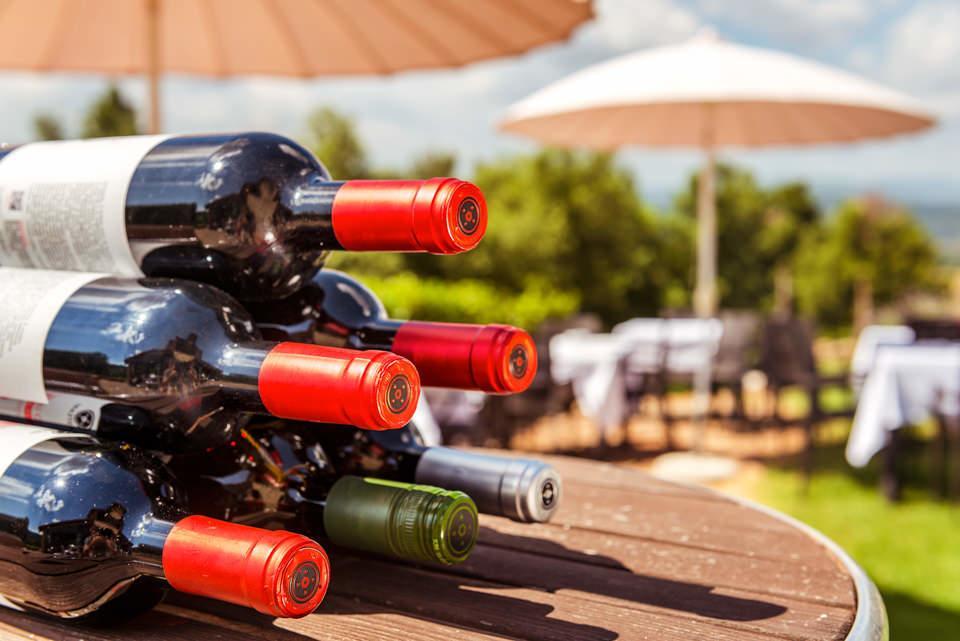 Agriturismo & Cantina Tenuta Casteani Ribolla Kültér fotó