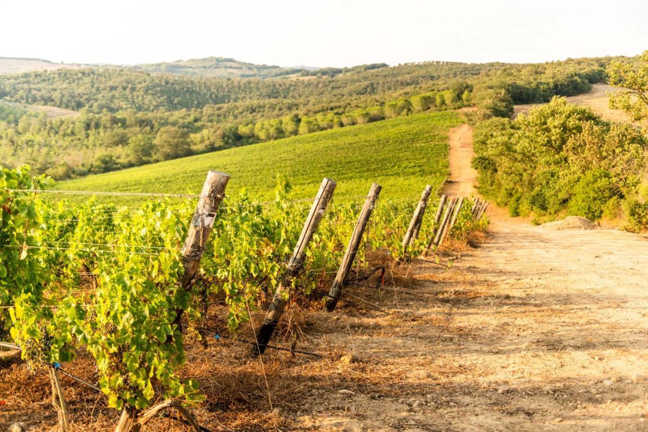Agriturismo & Cantina Tenuta Casteani Ribolla Kültér fotó