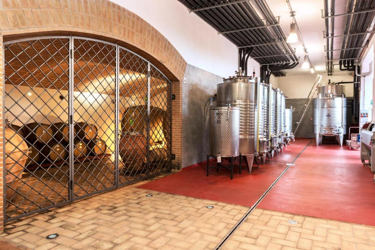 Agriturismo & Cantina Tenuta Casteani Ribolla Kültér fotó