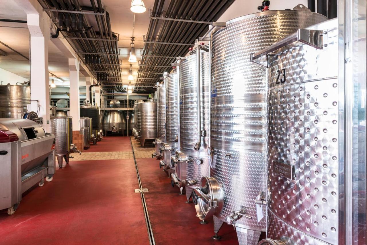 Agriturismo & Cantina Tenuta Casteani Ribolla Kültér fotó